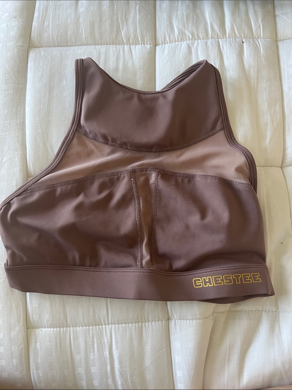 The Chestee Mauve High-Neck Sports Bra Collarbone Protection sz 6